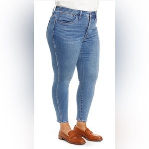 Madewell Roadtripper High Waist Ankle Skinny Jean (Vinton) Plus SiE 20W